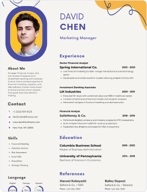 Professional resume template 12
