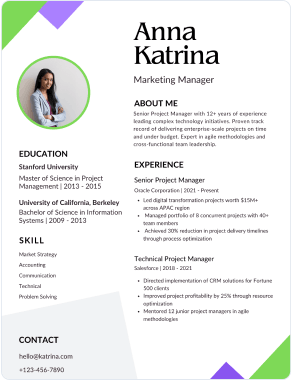 Professional resume template 2