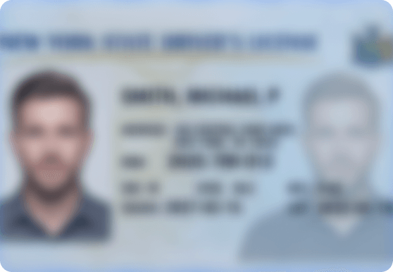 Government identification protected by secure access
